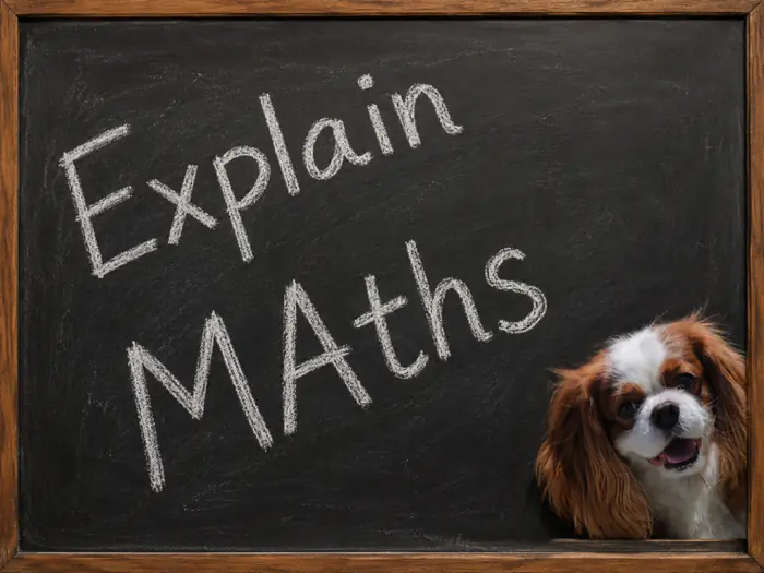 ExplainMaths logo